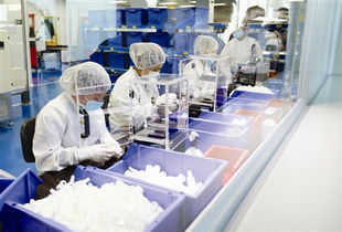 望牛墩每年投千萬助企業(yè)倍增，辦公用品行業(yè)迎發(fā)展新機遇